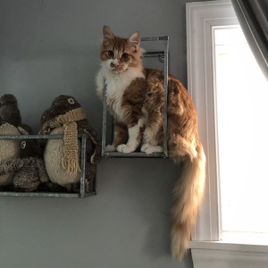 Fundraising Page: Willie PAC ALUM